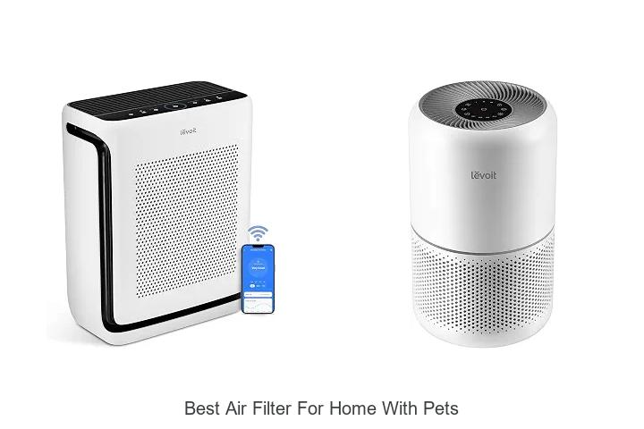 best air filter for home with pets