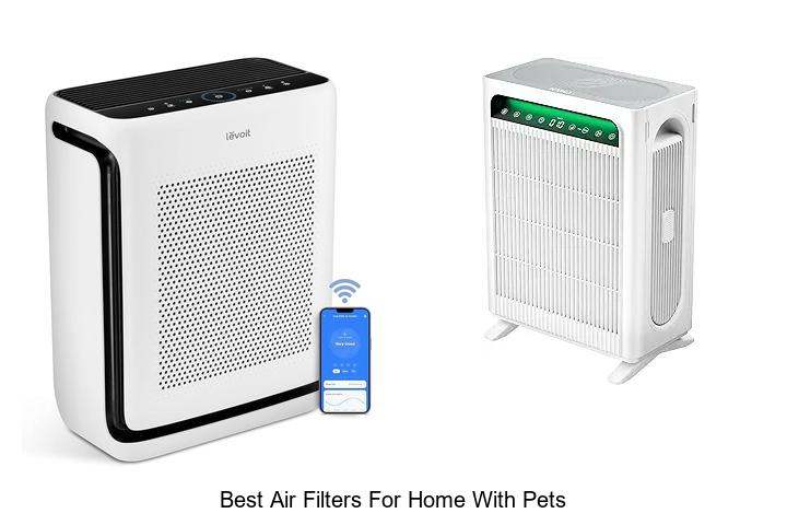 best air filters for home with pets
