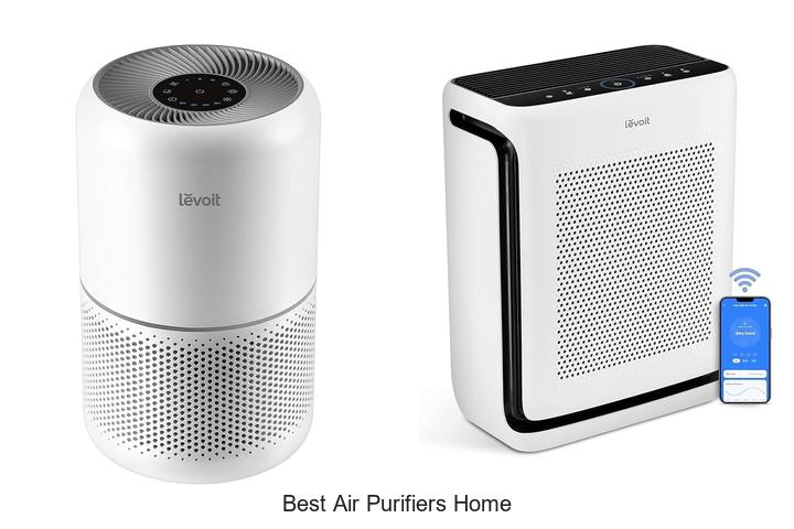 best air purifiers home