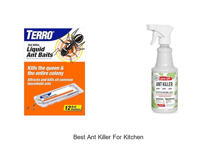 best ant killer for kitchen