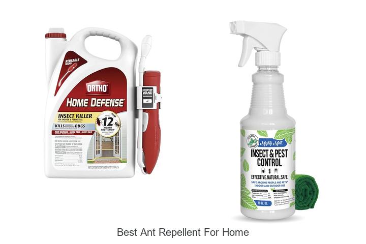 best ant repellent for home