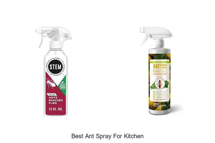 best ant spray for kitchen