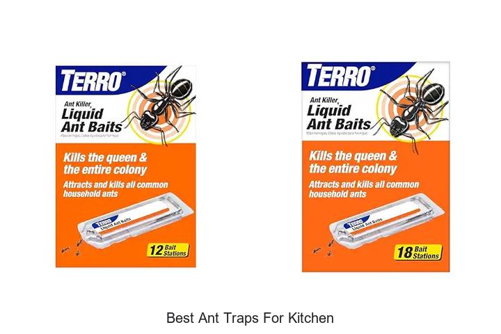 best ant traps for kitchen