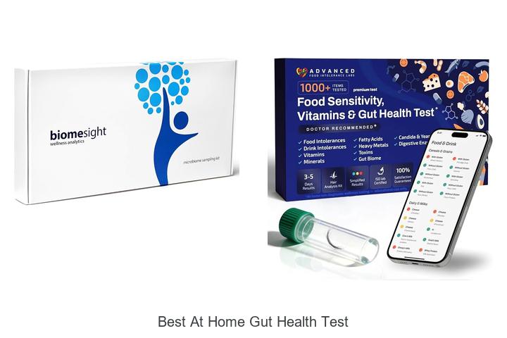 best at home gut health test
