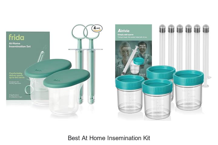 best at home insemination kit