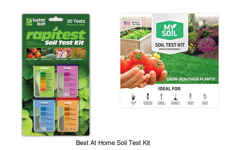 best at home soil test kit