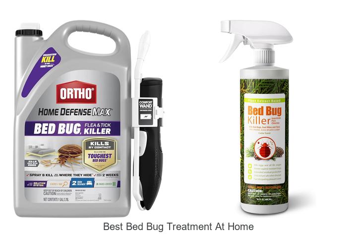 best bed bug treatment at home