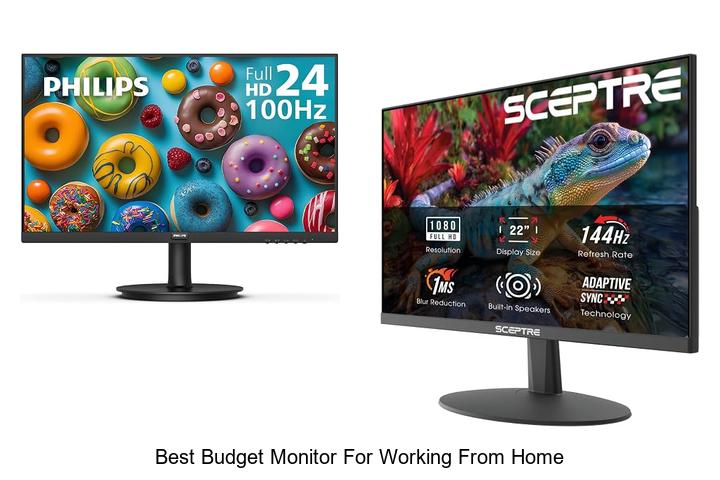 best budget monitor for working from home