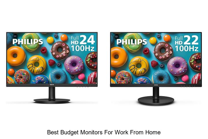 best budget monitors for work from home