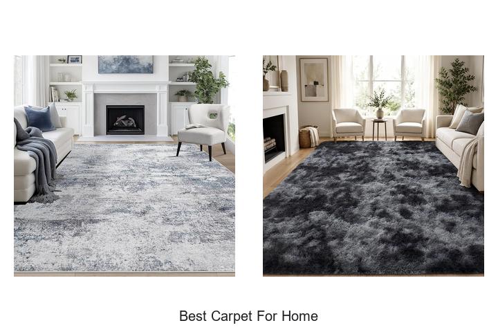 best carpet for home