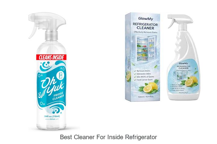 Best Cleaner For Inside Refrigerator That Blasts Grime Fast!