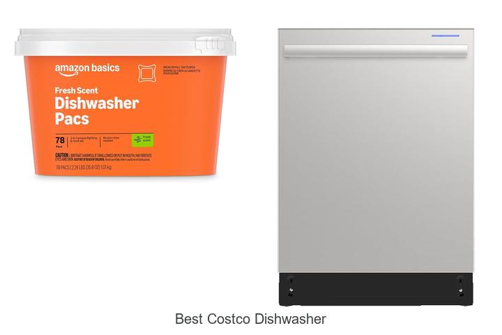 best costco dishwasher