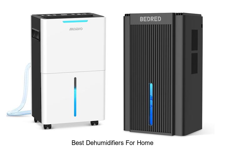 best dehumidifiers for home