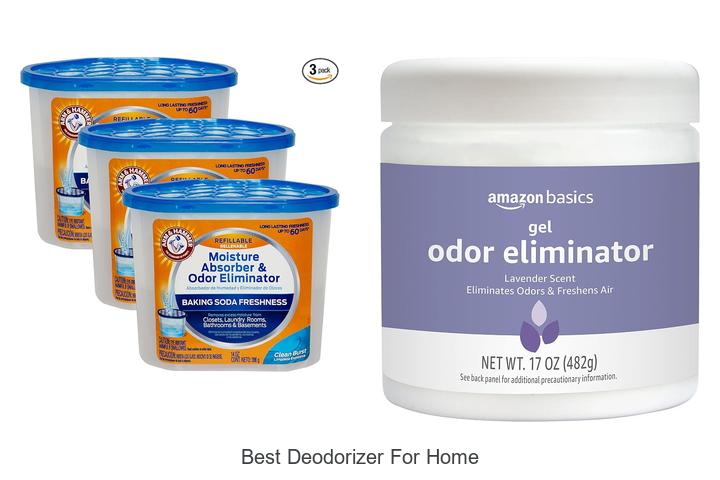 best deodorizer for home
