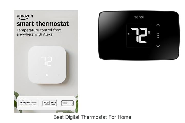 best digital thermostat for home