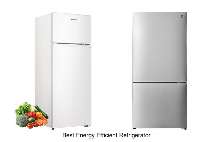 Best Energy Efficient Refrigerator: Save Big on Bills Now!