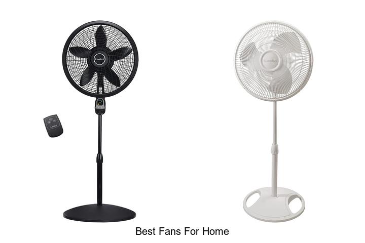 best fans for home