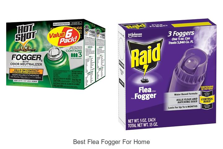best flea fogger for home