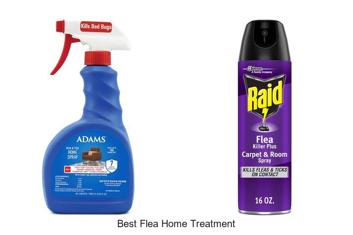 best flea home treatment
