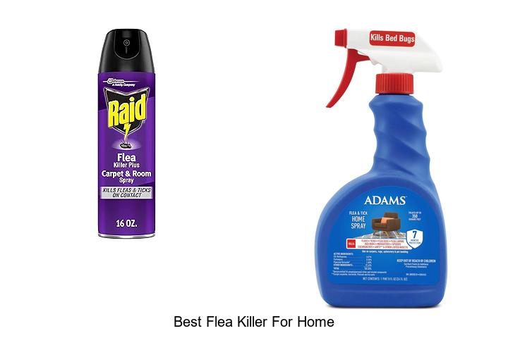 best flea killer for home