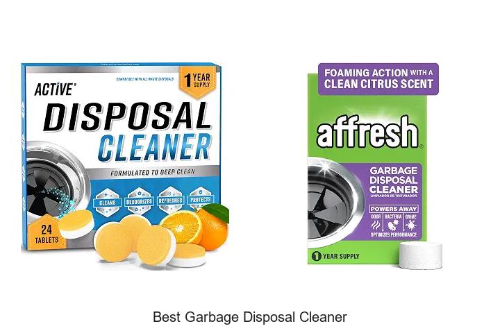 best garbage disposal cleaner