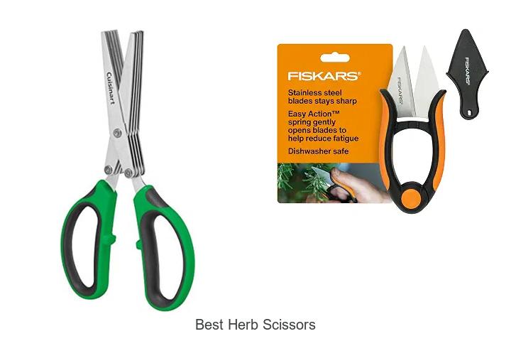 Best Herb Scissors That Will Change Your Cooking Game!