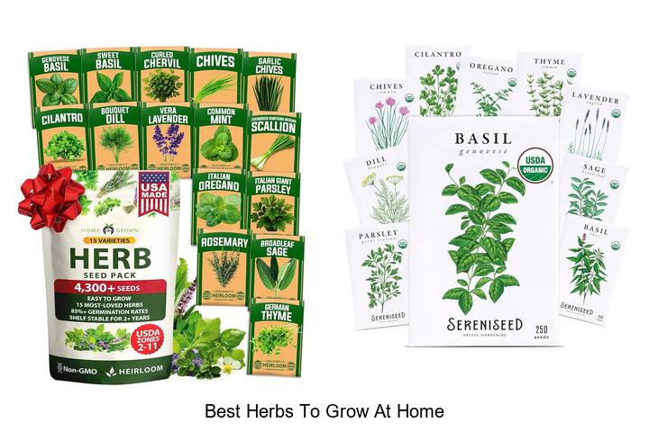 best herbs to grow at home