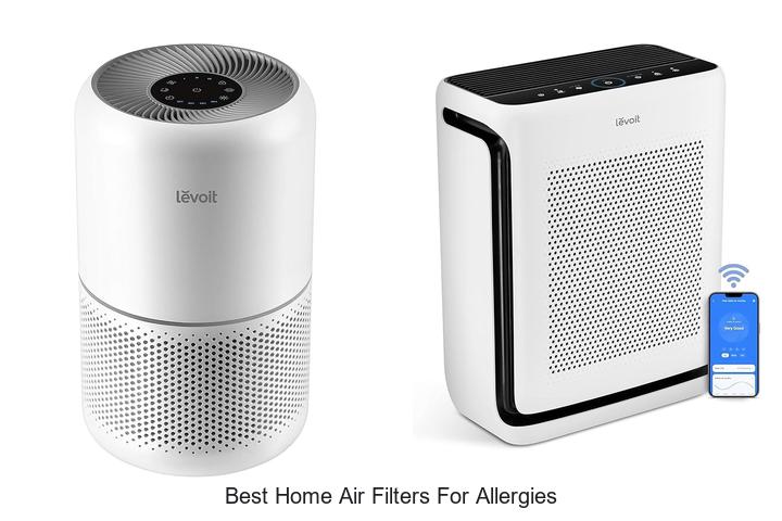best home air filters for allergies