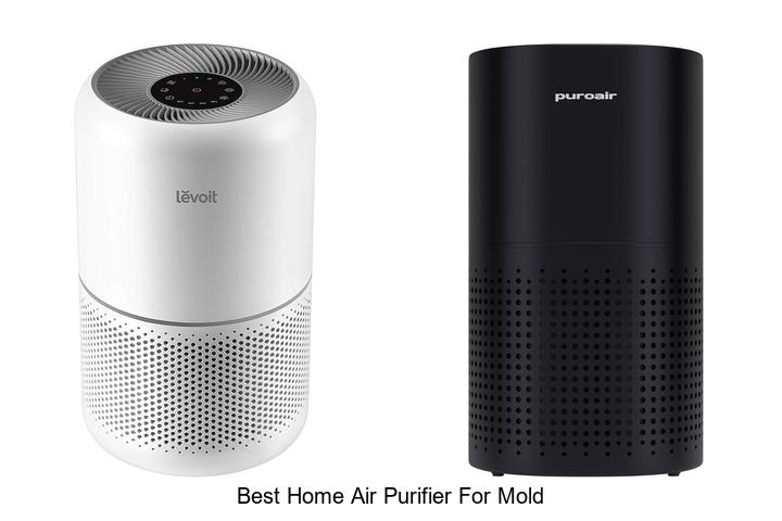 best home air purifier for mold
