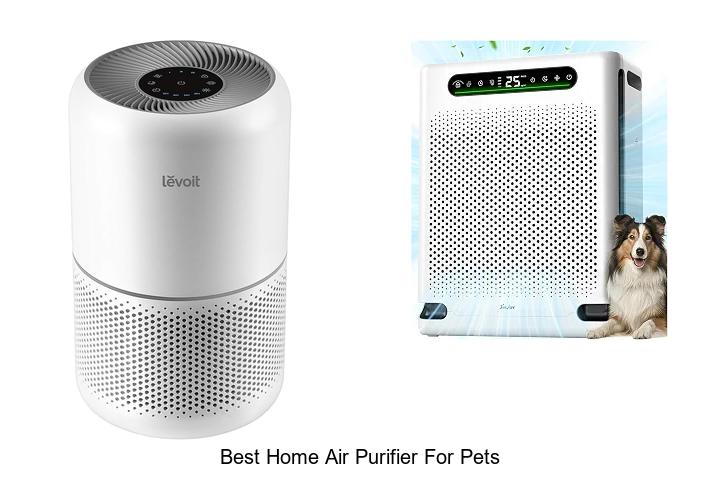 best home air purifier for pets