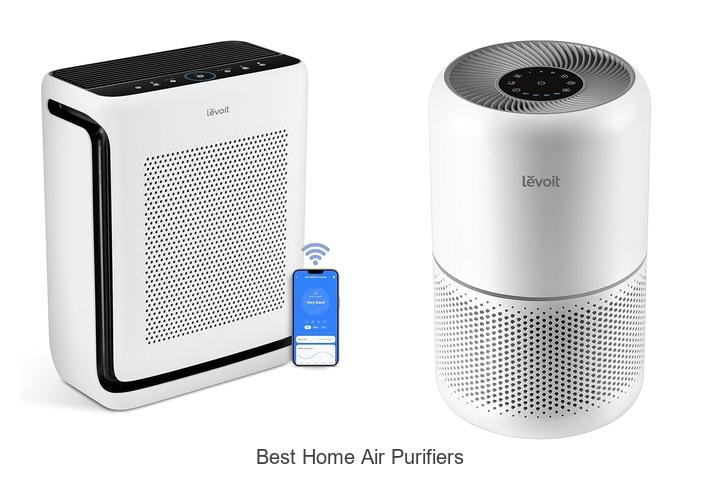best home air purifiers