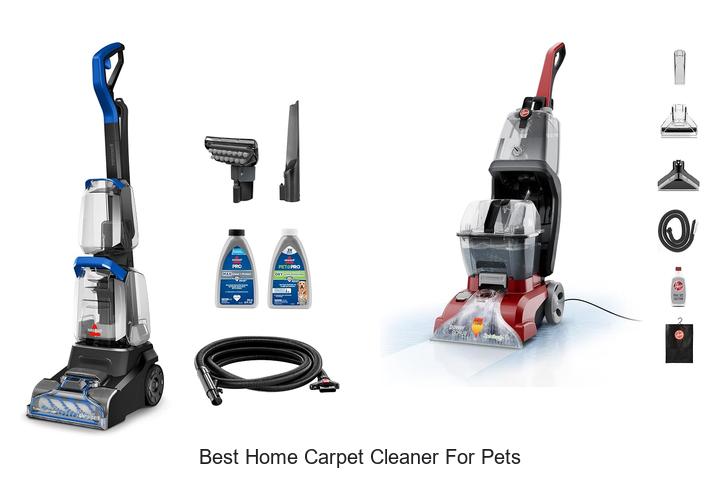 best home carpet cleaner for pets