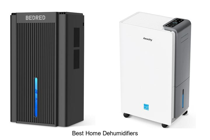 best home dehumidifiers