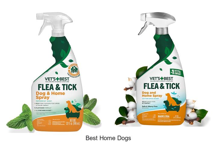 best home dogs