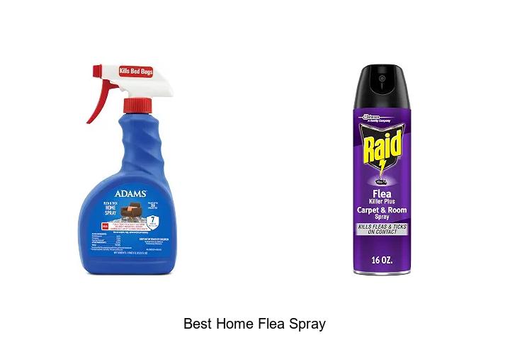 best home flea spray
