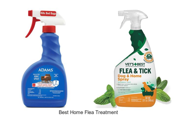 best home flea treatment