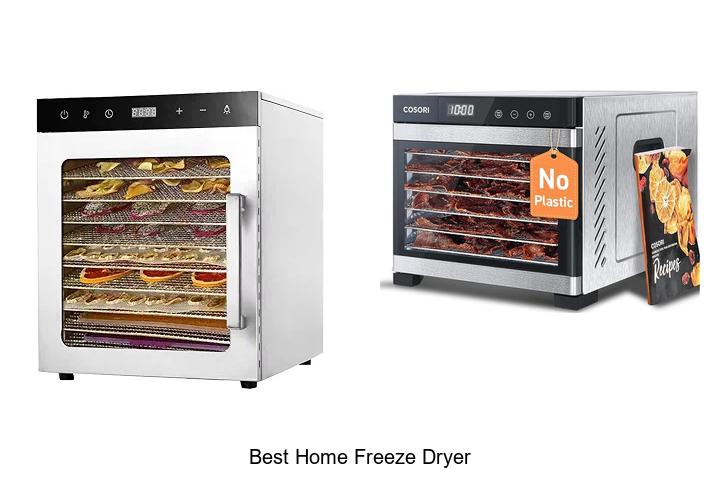 best home freeze dryer