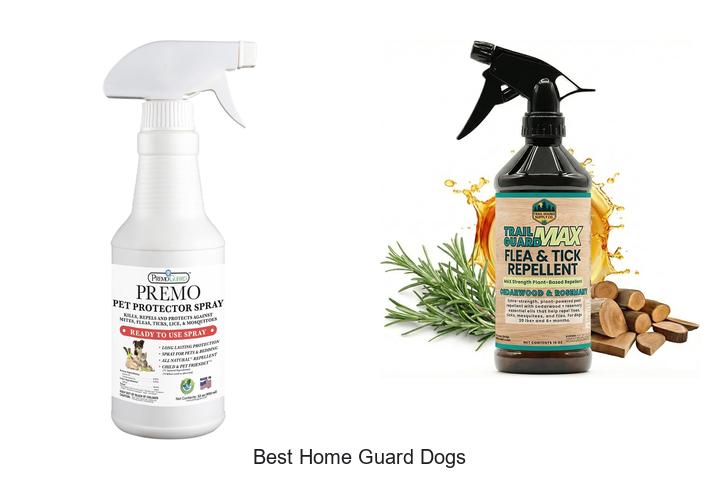 best home guard dogs