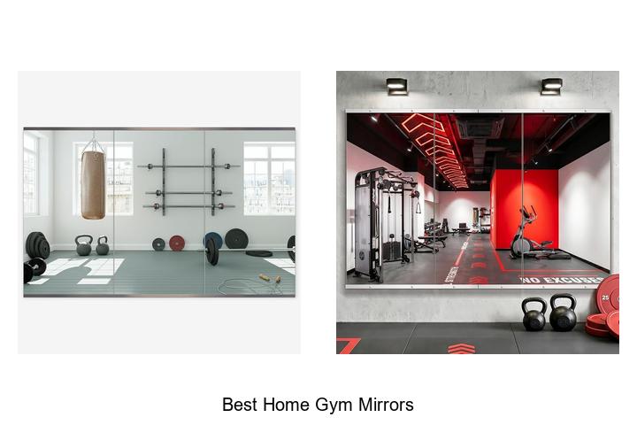 best home gym mirrors