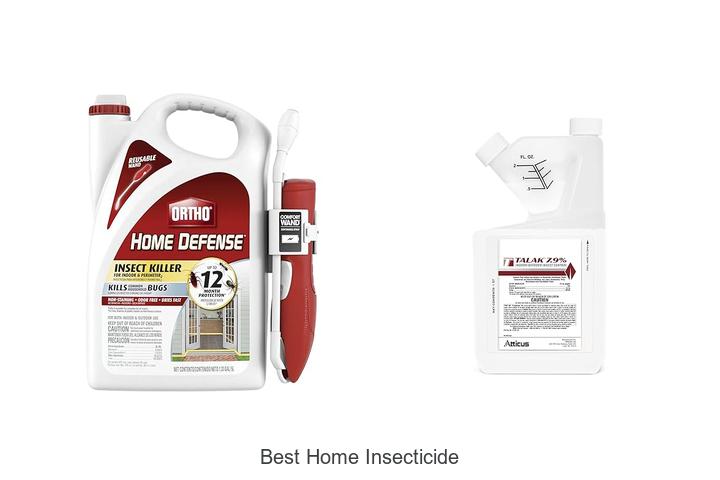 best home insecticide