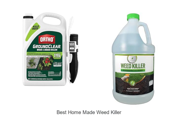best home made weed killer