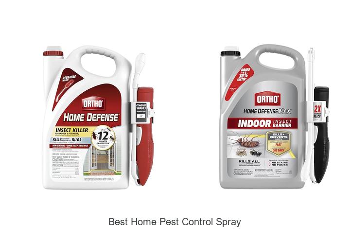best home pest control spray
