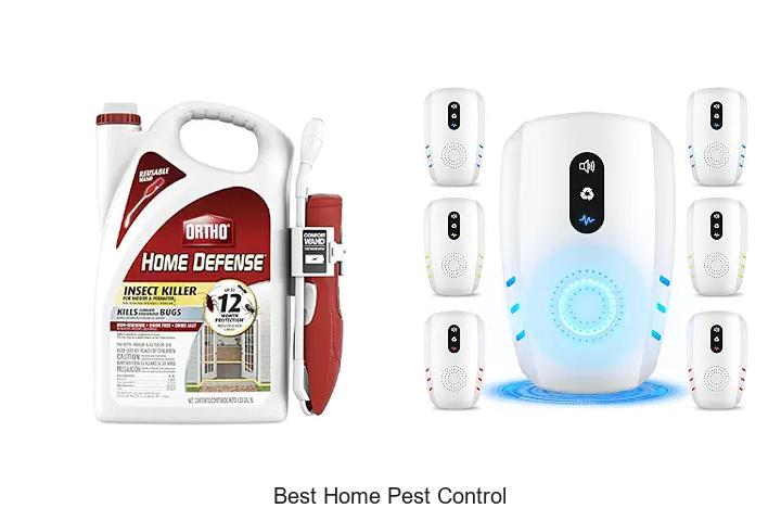 best home pest control