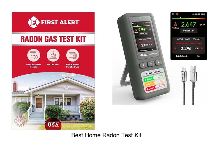 best home radon test kit