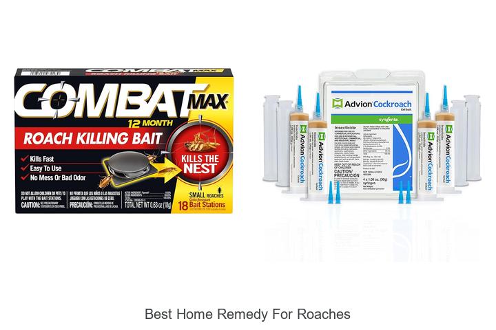 best home remedy for roaches