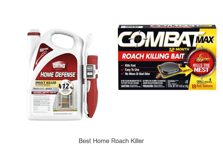 best home roach killer