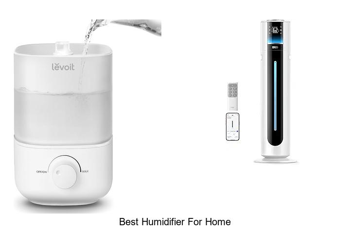 best humidifier for home