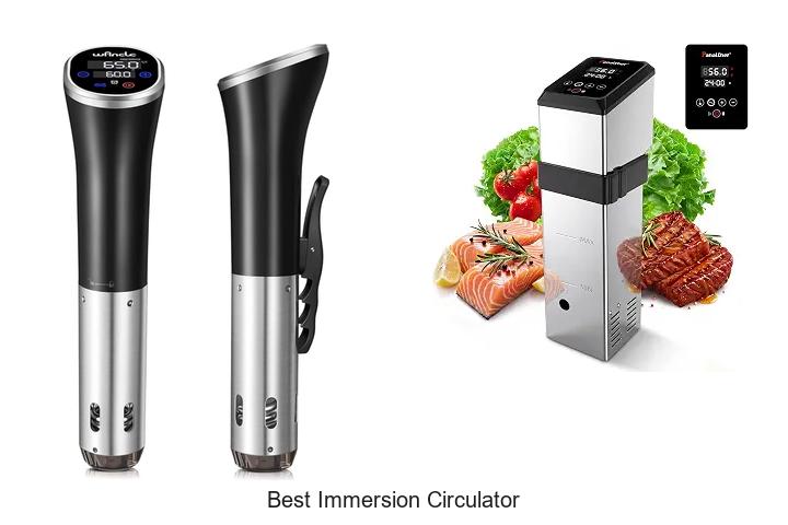 best immersion circulator
