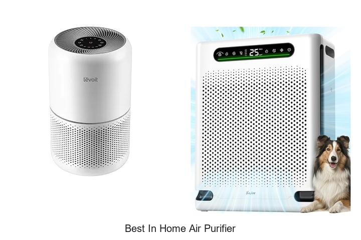 best in home air purifier