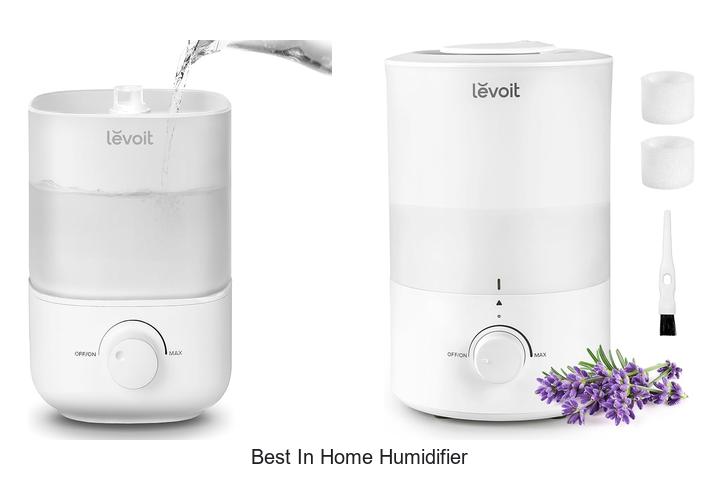 best in home humidifier